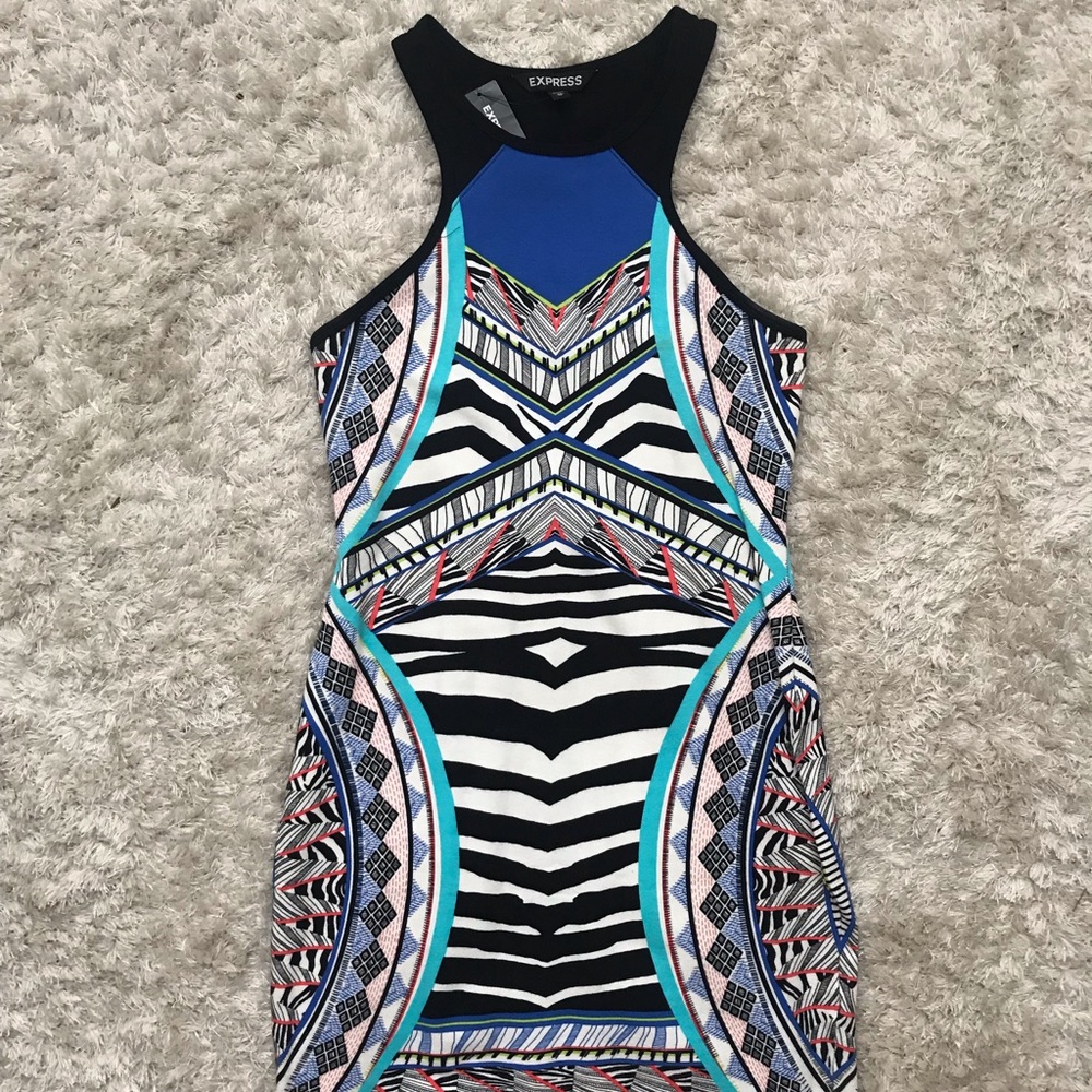Express Bodycon Dress